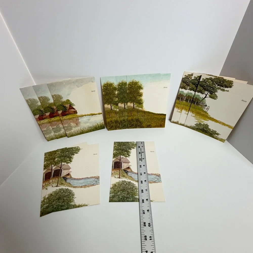 Lot of 12 S.W. Landscape Art Postcards Rustic Country‎ Scenic Unused